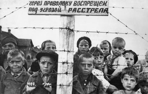 Война за колючей проволокой: зачем исследуют геноцид советского народа в Карелии