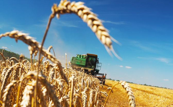 Индонезия нарастила ввоз зерна из России более чем в десять раз