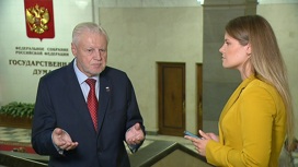 Миронов предложил высылать из России семьи мигрантов-преступников