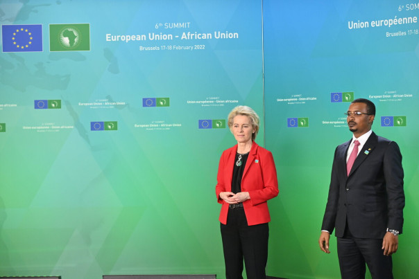 Когда в ЕС сидит балбес