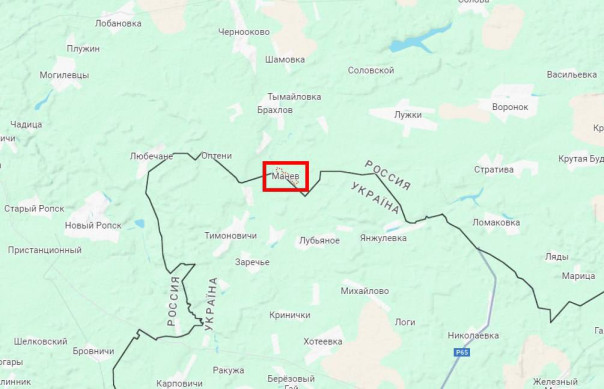 Пограничники и военные пресекли попытку «вооруженной группы лиц» пересечь границу в Брянской области