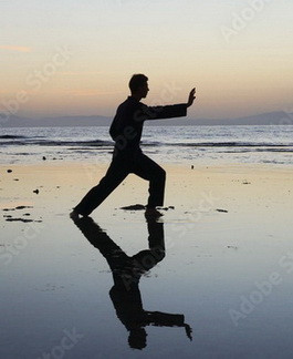 А.В.Росич. О частых атаках патогенов на организм