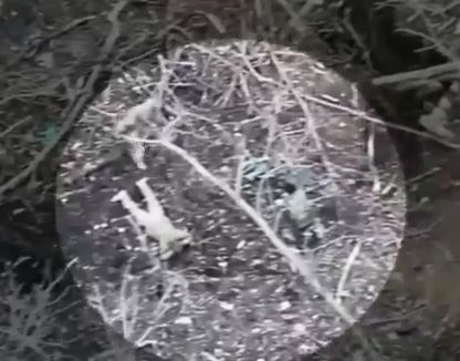 Минобороны показало видео, как штурмовики ВС РФ «выкуривают» украинцев из их нор