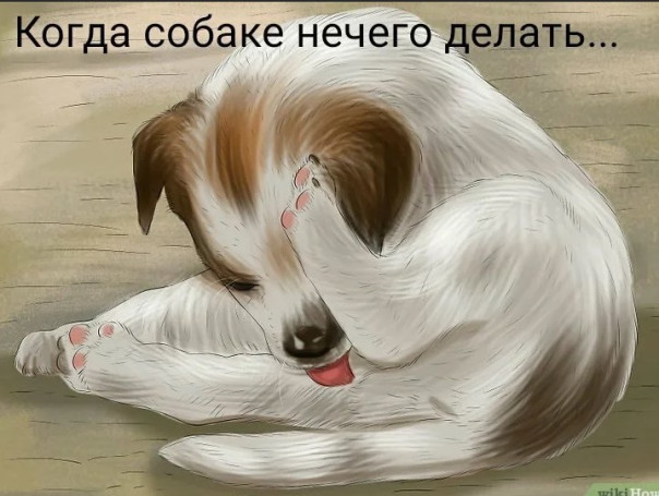 В Госдуме захотели запретить россиянам дарить друг другу алкоголь