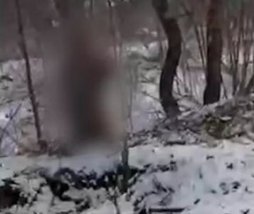 В Курской области боевики ВСУ убили сослуживца, привязав его к дереву (Видео)