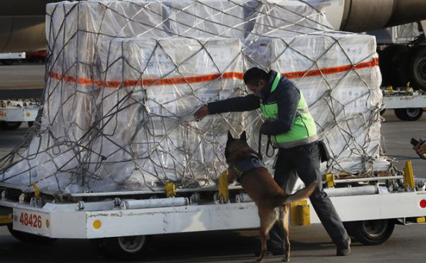 СВО против Мексики — почему нет? А Канаду Трамп будет бить иначе, у него свой метод есть