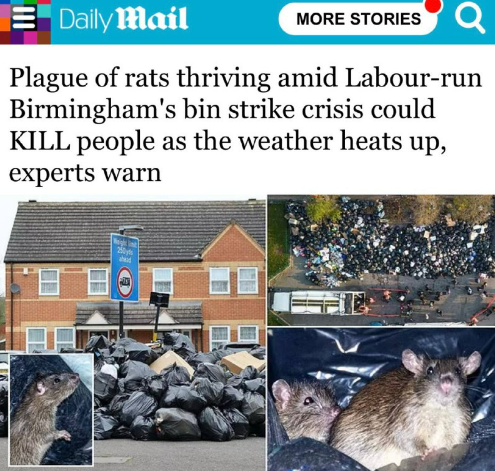 В Британии крысы «размера с кошку» буквально убьют людей