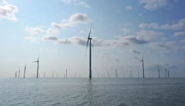 Нидерланды обвиняют Бельгию в «краже» ветра