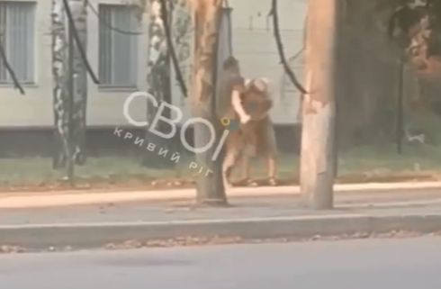 В Кривом Роге сотрудник военкомата избил мужчину, который искал сына