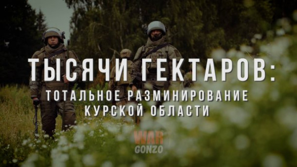 Тысячи разминированных гектаров: тотальное очищение Курской области