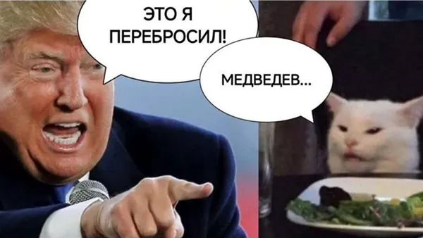 Мем с Трампом, Медведевым и котом стал популярен в соцсетях