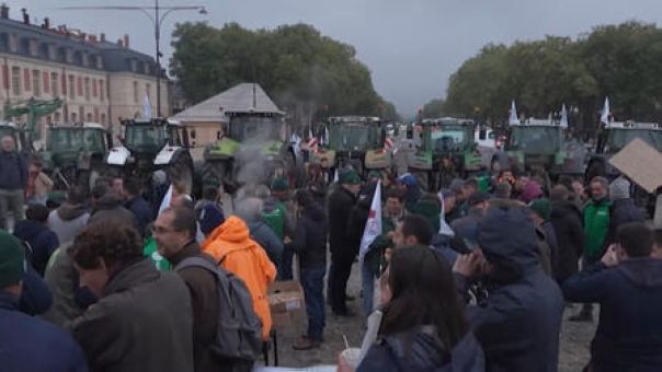 Сотни французских фермеров вышли на протесты из-за торговой политики ЕС
