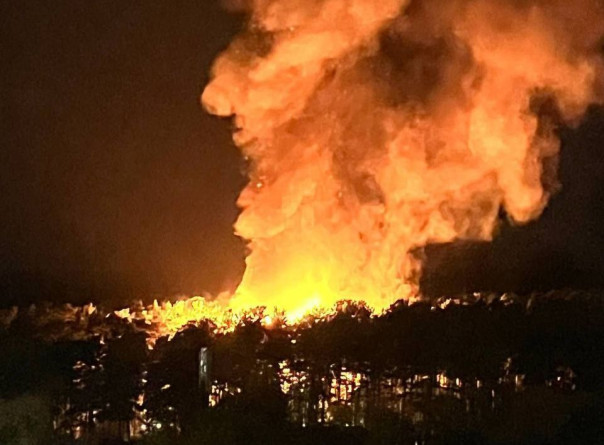 Более 10 животных погибли в страшном пожаре в новосибирском зоопарке.