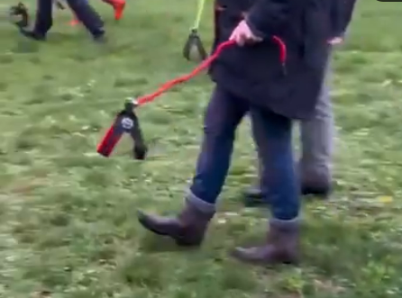 Рубрика "Прогрессивное собаководство"