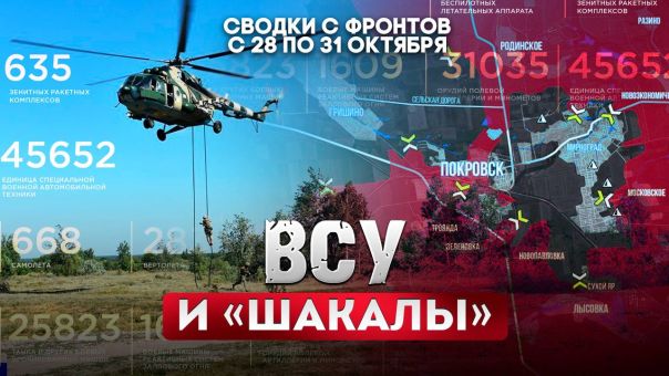 ВСУ и «шакалы». Большая фронтовая сводка 28-31 октября 2025 года | Короткая сводка с фронта 3 ноября 2025 года
