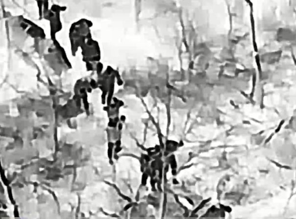 25 украинских боевиков сдались в плен в окруженном Мирнограде, а из Покровска трупы укронацистов вывозят КАМАЗами