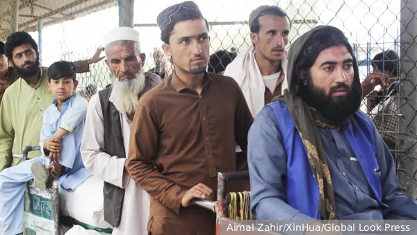 Зачем Германия самолетами завозит к себе афганцев