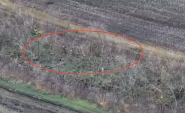 Под миномётным огнём ВСУ массово побежали из Покровска...