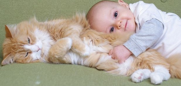 Малыш и кот