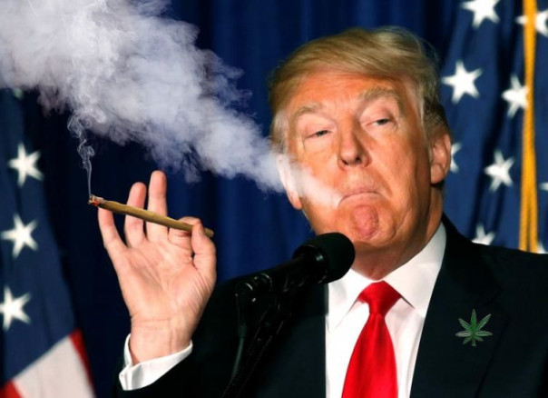 План Трампа можно курить, но не подписывать. Андрей Ваджра