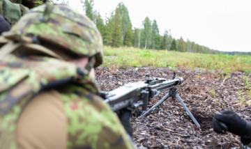 Боеспособность – ноль: отчёт об обороне выявил глубокий раскол в Эстонии