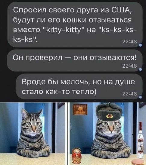 "Мыздобулы" в картинках. Смешных и не очень...14.12.2025