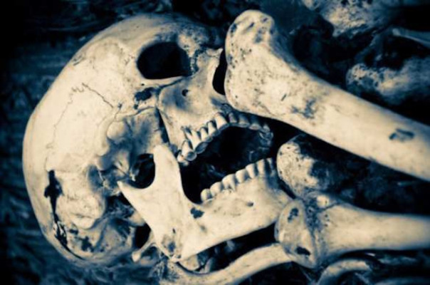 В ЮАР нашли останки людей, находившихся в изоляции от человечества 200 тыс. лет