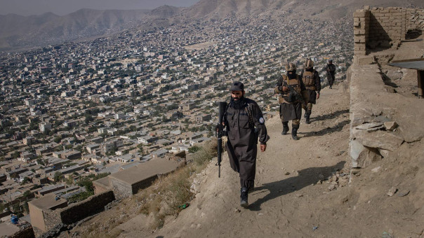 Планы и экономика: проекты РФ в Афганистане приближаются к реализации