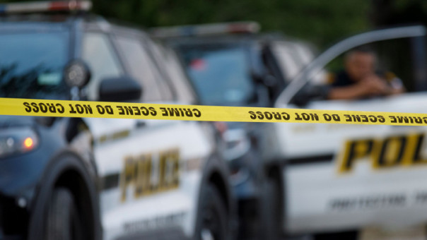 Профессора ядерной физики MIT Лурейру застрелили в собственном доме в США