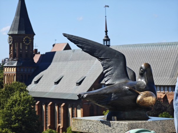 Россия предупреждает: Блокада Калининграда западными странами может вывести конфликт на «невиданный уровень»