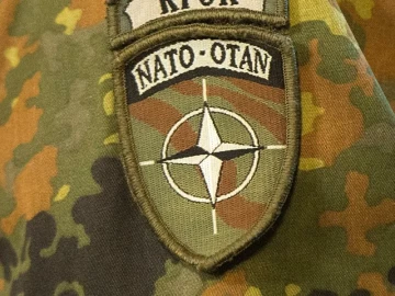 Попались, канальи