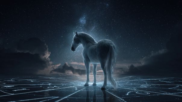 Быть на коне или уклоняться от удара копытом: что ждет знаки зодиака в 2026 году