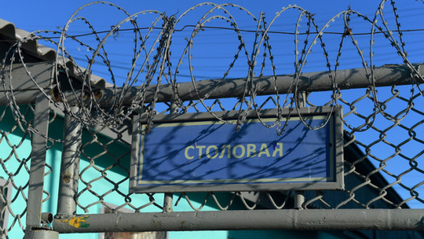 Житель Владимира отправится в колонию за легализацию почти 3 тысяч мигрантов