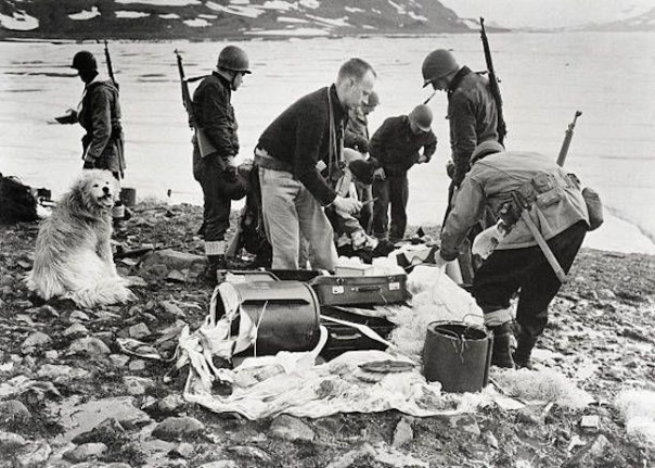 Выстрелы во льдах