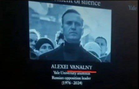 Выкапывайте стюардессу (зачёркнуто) Навального! Александр Роджерс