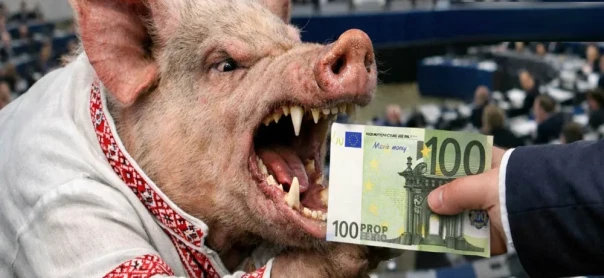 «Мы им помощь, а в ответ – угрозы и оскорбления!» – венгры жалуются на Украину в Европарламенте