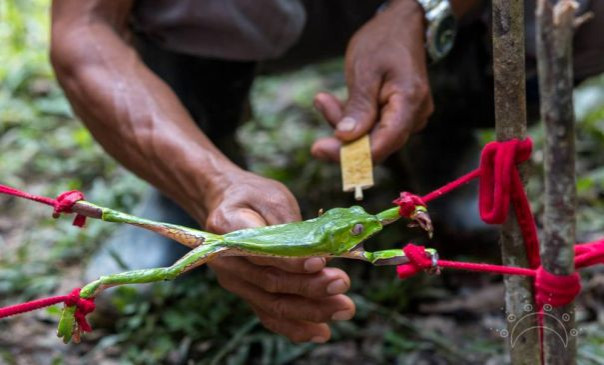 Мюнхенскую конференцию пора переносить в Голливуд