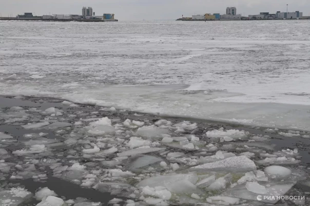 В Финляндии рассказали о помощи российских ледоколов в Финском заливе