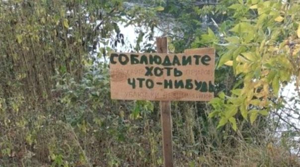 Точка в вопросе с Телеграм | Мальчик и письмо