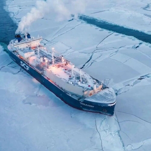 А вы как думали? Или высокие япона-европейские отношения