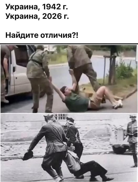 Iдея Naции. Александр Роджерс