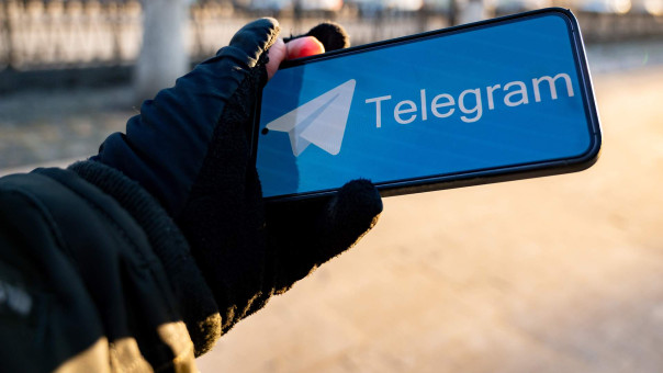 Густые обещания: в Telegram резко выросла активность вербовки для терактов в России