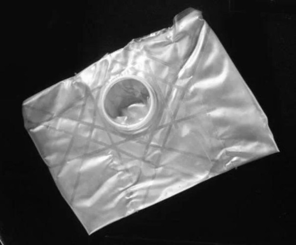 NASA пришлось переименовывать накладки для половых органов астронавтов