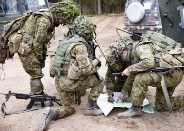 Масштабные военные учения НАТО проводятся вдоль границы с РФ