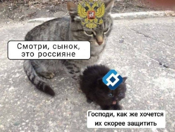 Мошенники в мессенджере MAX: риски, схемы и ответственность