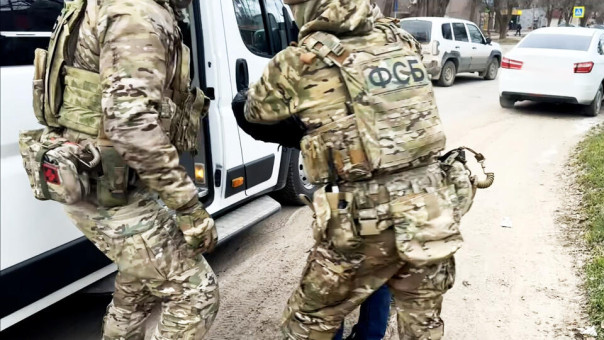 Задержанный в Петербурге экстремист оказался педофилом с псевдонимом "Папа гриб"