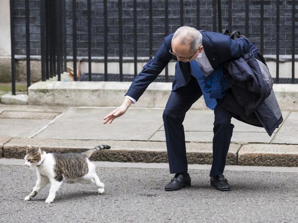 Исторические напёрстки. Несчастный кот Ларри