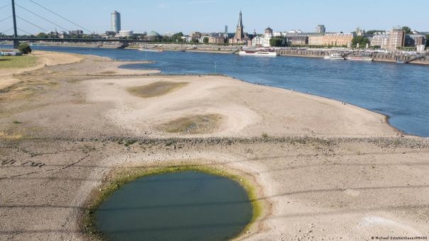 Рекордное обмеление Рейна поставило под угрозу грузовые перевозки в ФРГ