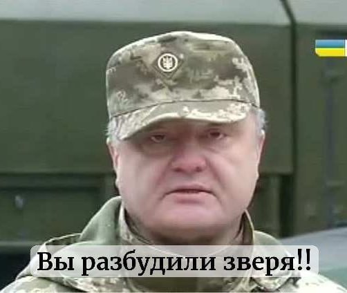 Вы разбудили зверя!