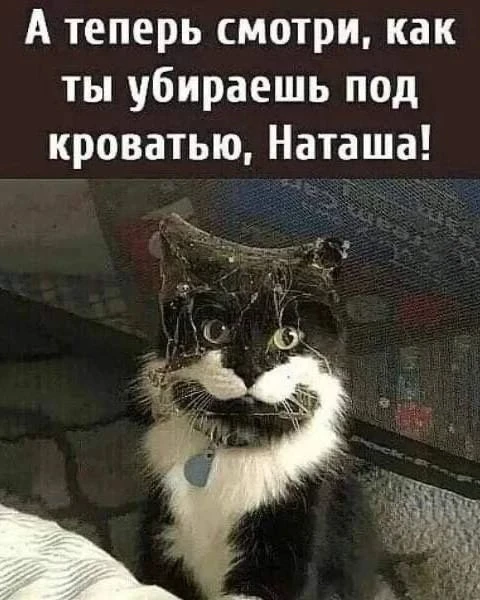 Весёлые картинки №12